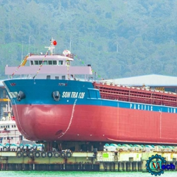 Dự án đóng mới tàu container Sơn Trà 126